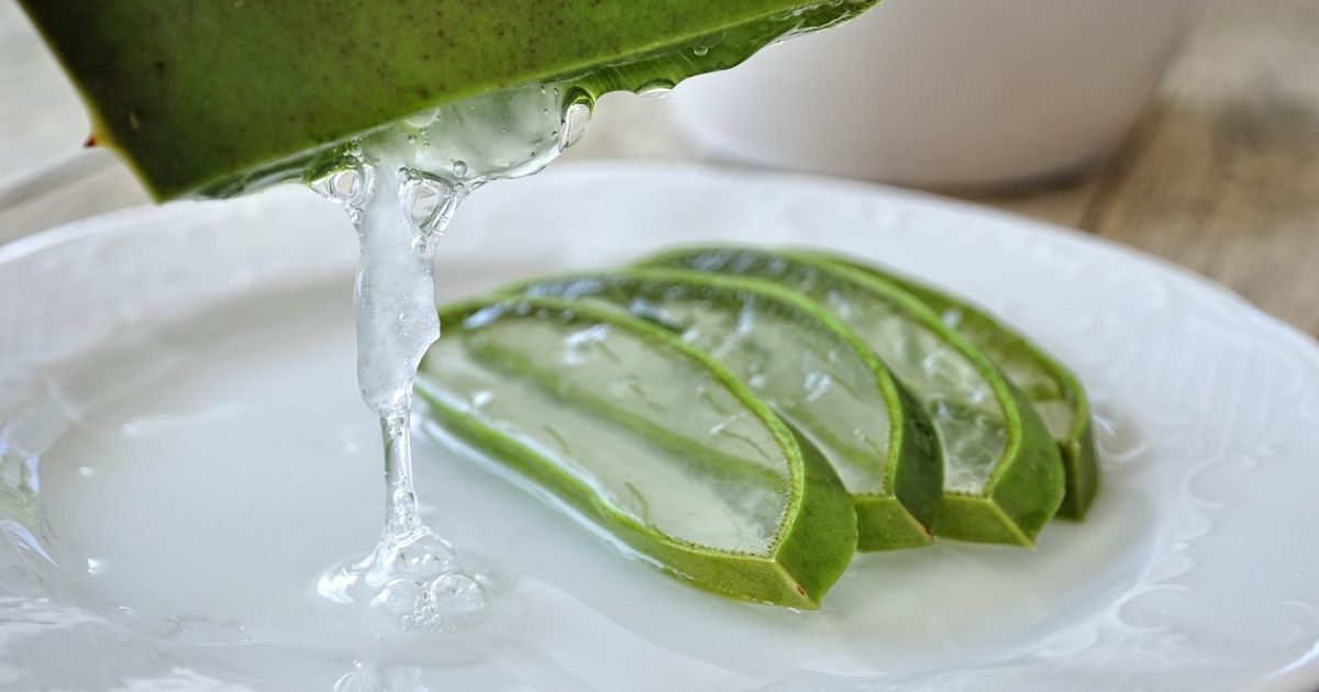 detoxzaludkastravou