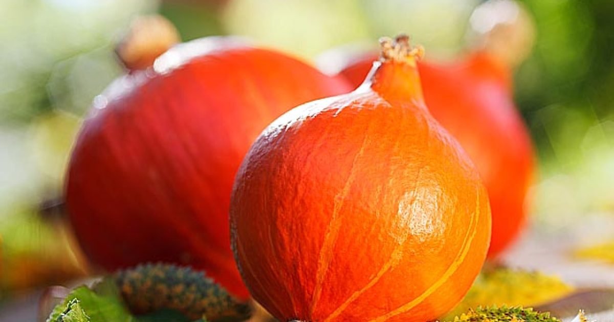pomoczprirody-detoxikacia-sleziny-a-pankreasu-stravou-featured