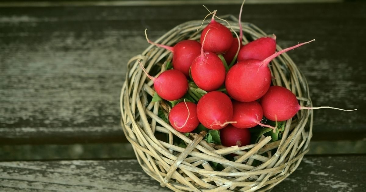 redkovka