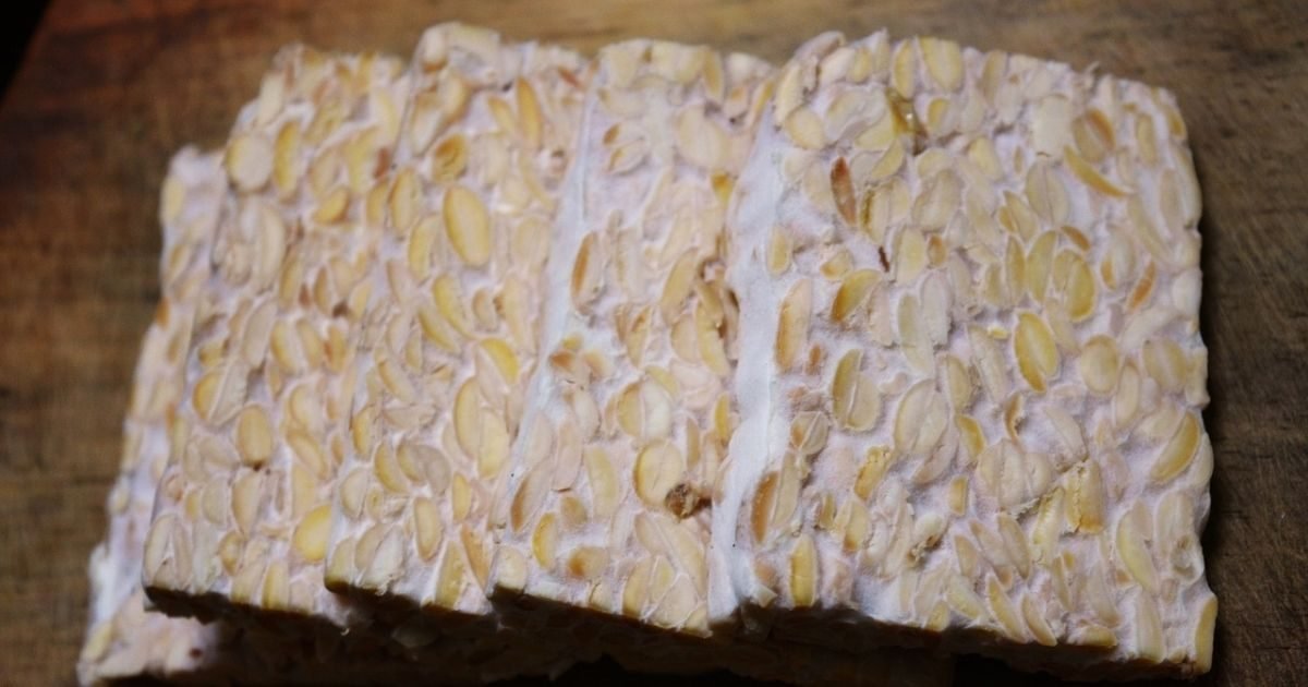 tempeh